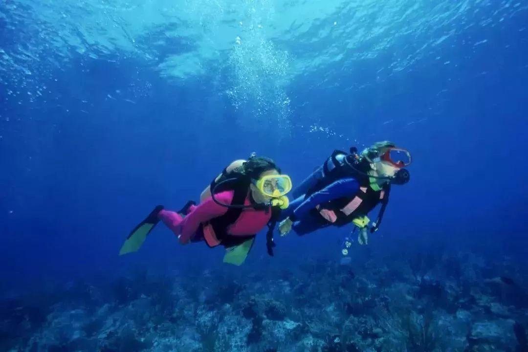 两会微访谈丨海南省商务厅党组书记、厅长张斌：2024年谋划做好海南自贸港全球大招商